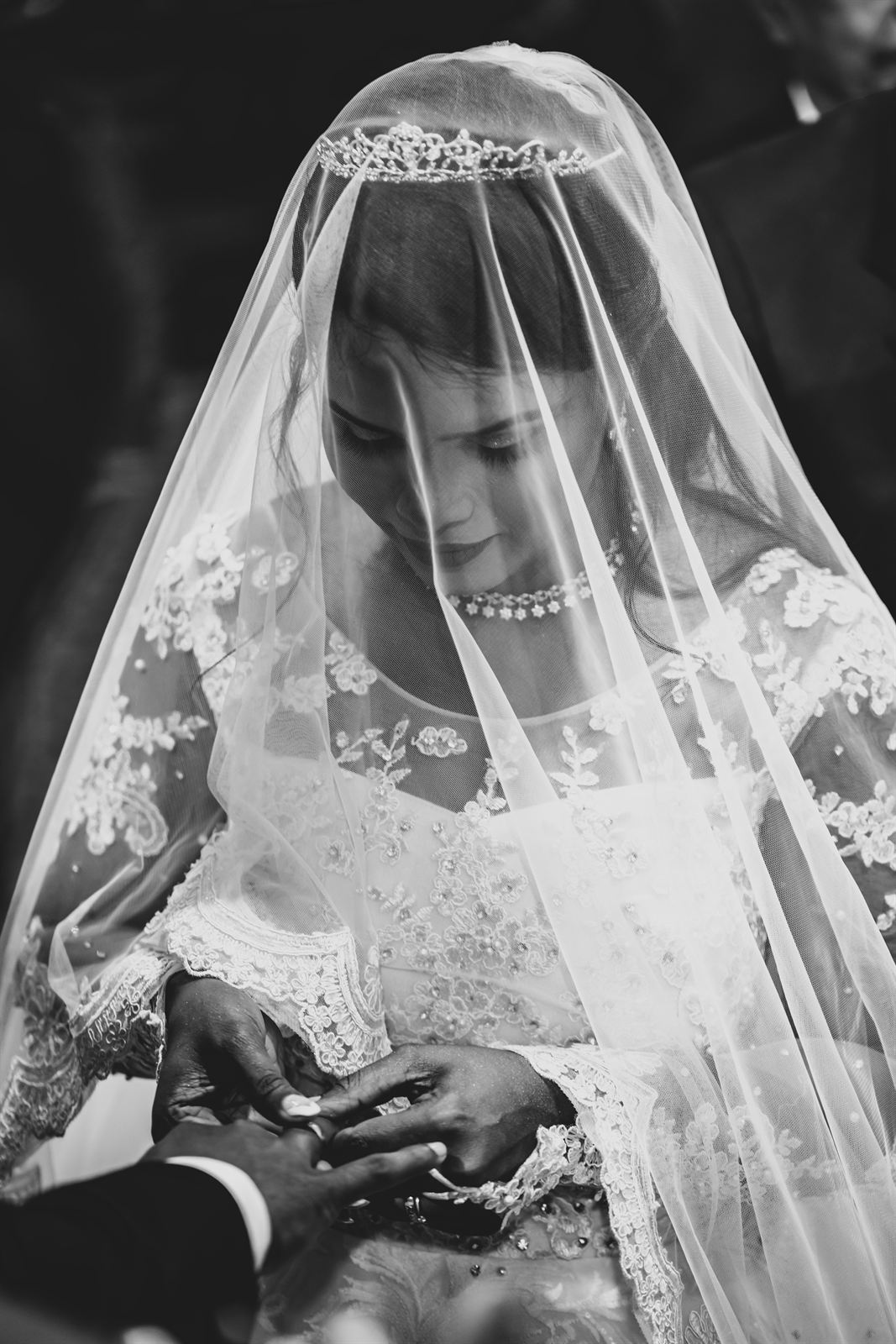 Wedding Series X — Sangeet Energy